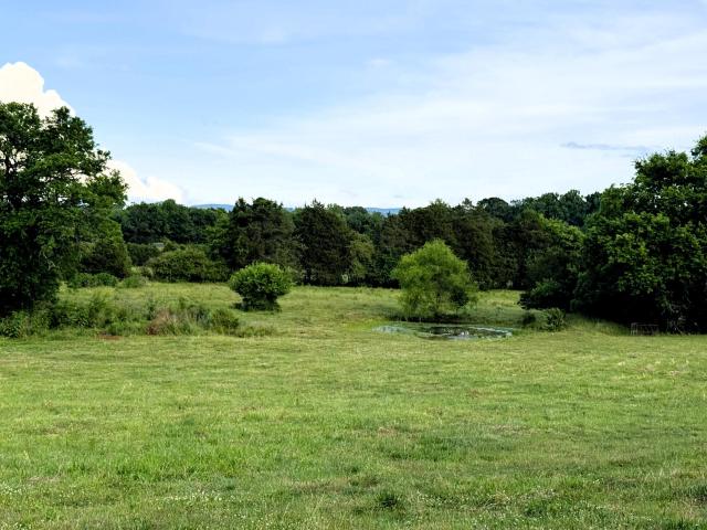 Land for sale in Tennessee
