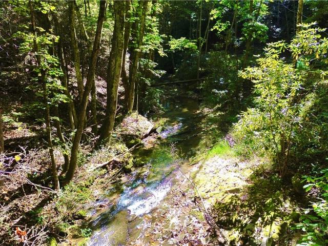 Land for sale in Watauga County, North Carolina