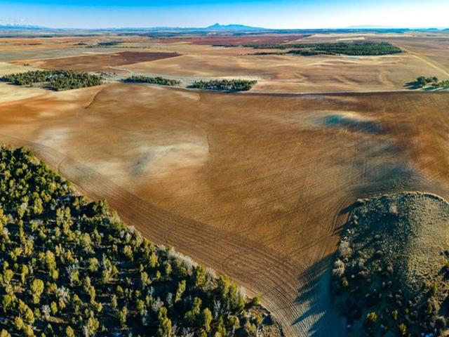 Land for sale in Monticello, Utah