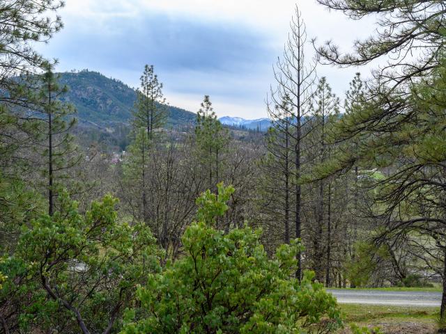 Property for sale in Lewiston, California