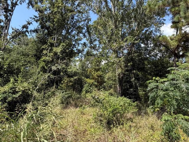 Land for sale in Onalaska, Polk County