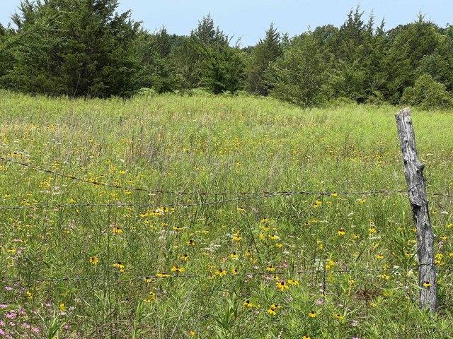 Land for sale in Colbert, Bryan County