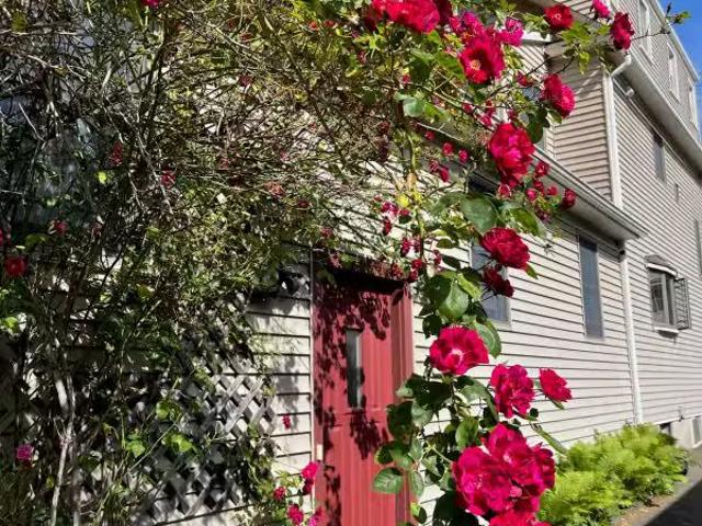 Apartment for rent in Fairfield