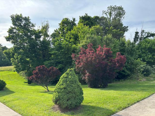 Land for sale in Crittenden, Kentucky
