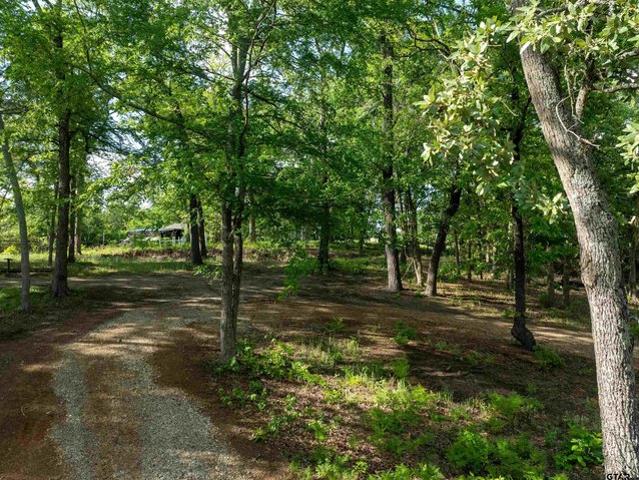 Land for sale in Henderson, Texas