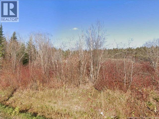 Land for sale in Madawaska, New Brunswick