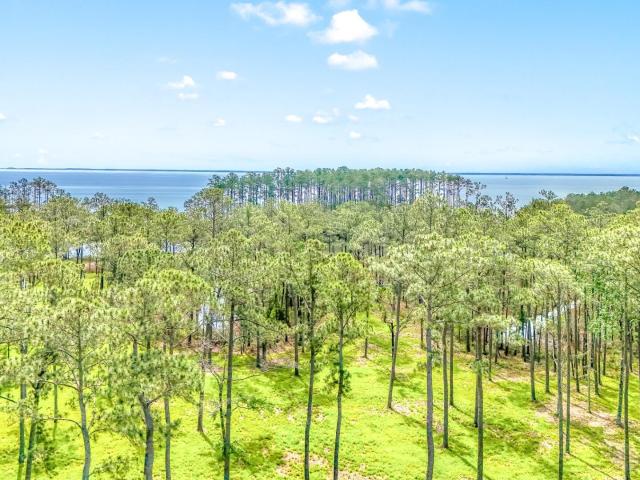 Land for sale in Oriental, North Carolina
