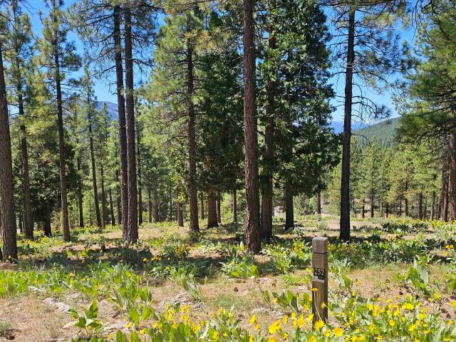 Land for sale in Portola, California
