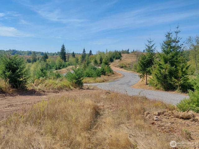 Land for sale in Centralia, Lewis County