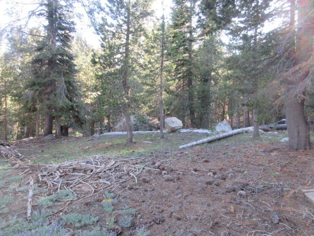 Land for sale in Alpine, California