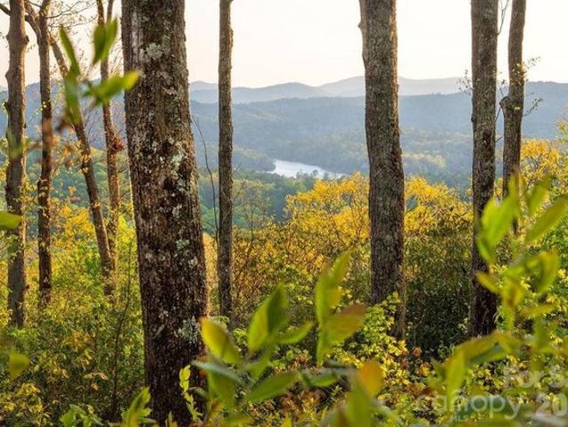 Land for sale in Transylvania, North Carolina