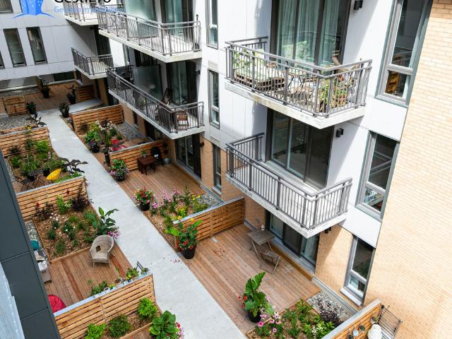 Apartment for rent in Centreville, Québec