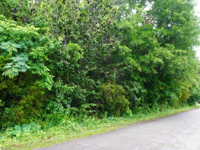 Land for sale in Pelzer, South Carolina