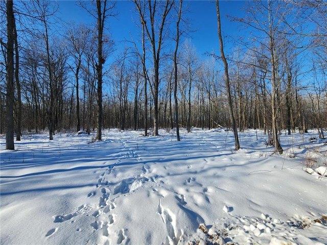 Land for sale in Ogilvie, Minnesota
