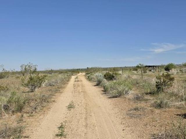 Land for sale in California