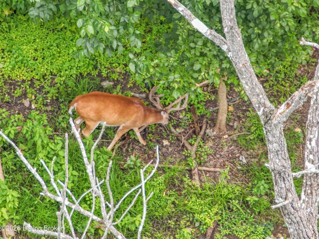 Land for sale in Louisville, Kentucky