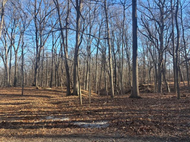 Property for sale in Marshall, Illinois