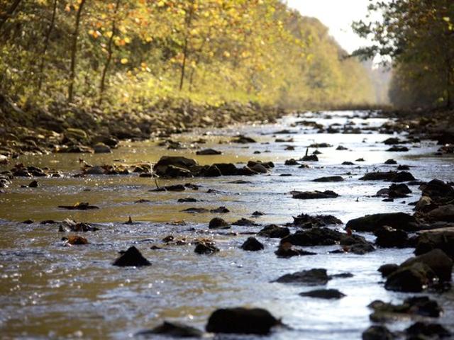 Land for sale in Walnut, Mississippi