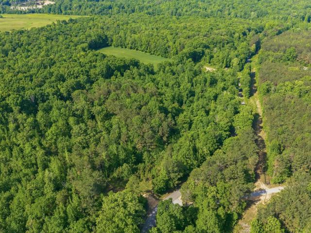Land for sale in Tennessee