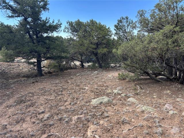 Land for sale in Crestone, Colorado