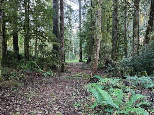 Land for sale in Lakebay, Washington