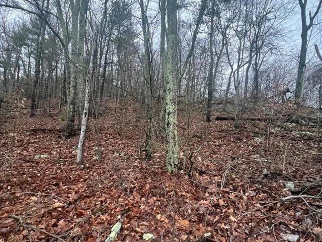 Land for sale in Calvin, Pennsylvania