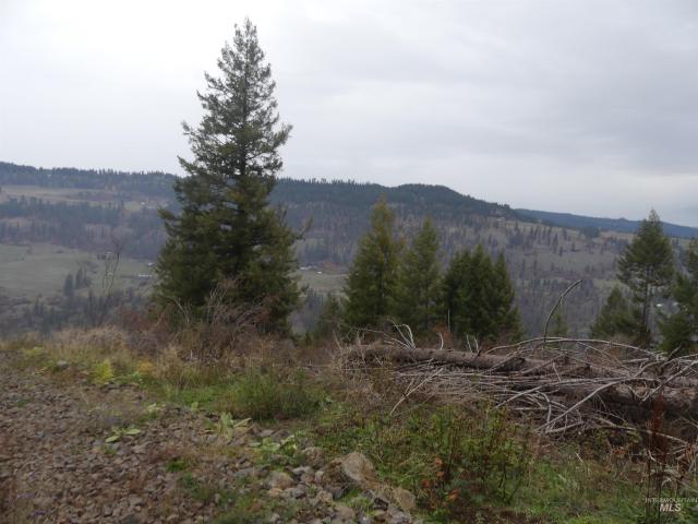 Land for sale in Orofino, Idaho