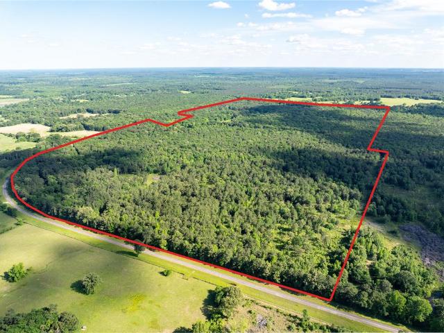 Property for sale in Clarksville, Texas