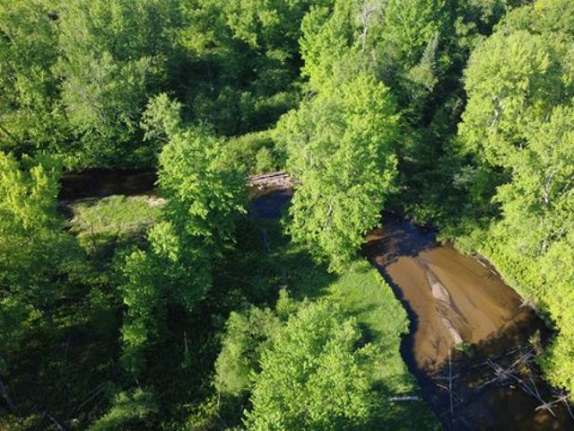 Land for sale in Marion, Michigan