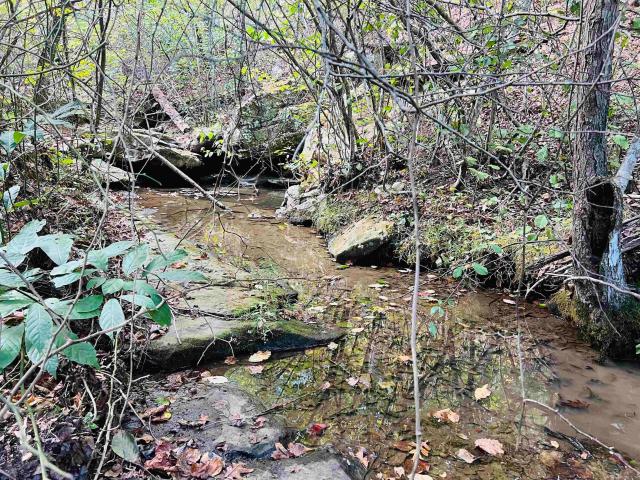 Land for sale in Welcome Home, Marshall