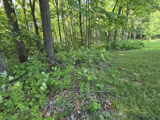 Land for sale in Union Pier, Michigan