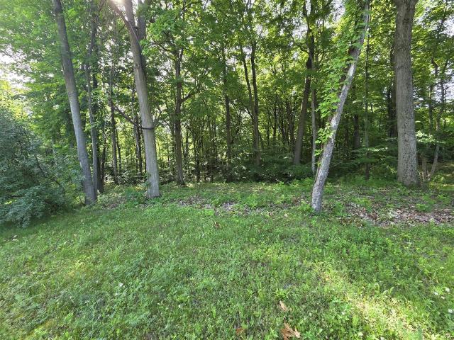 Land for sale in Union Pier, Michigan
