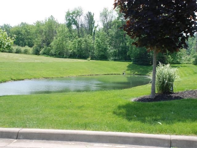 Land for sale in Michigan