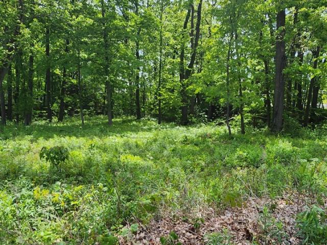 Land for sale in Union Pier, Michigan