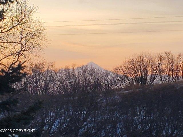 Land for sale in Ninilchik, Alaska