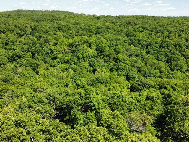 Land for sale in Ark