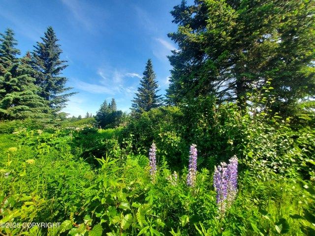 Land for sale in Ninilchik