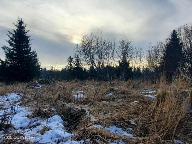 Land for sale in Ninilchik