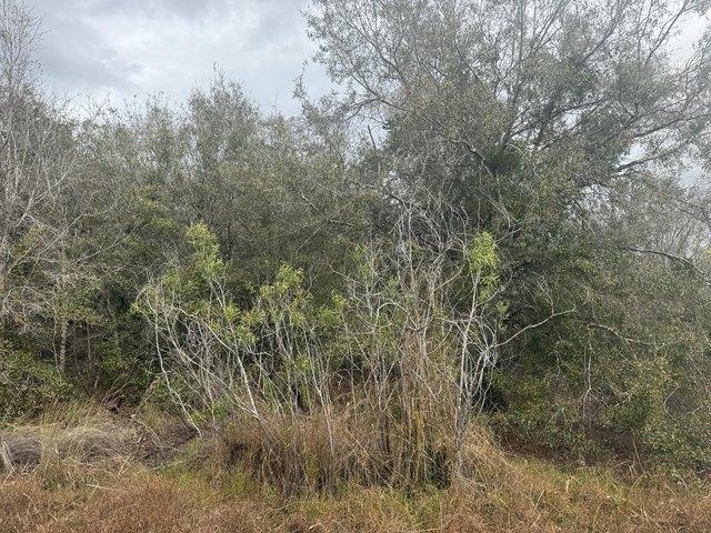 Land for sale in Okeechobee, Florida