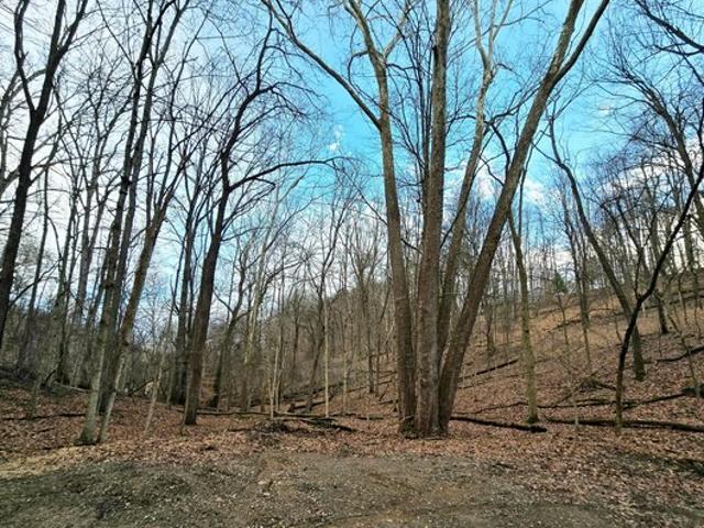 Land for sale in Ohio