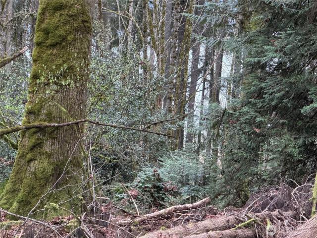 Land for sale in Poulsbo, Washington