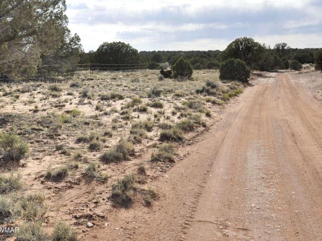 Land for sale in Arizona