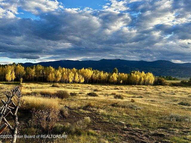 Land for sale in Swan Valley, Idaho