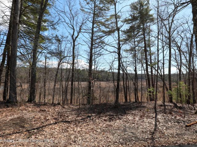 Land for sale in Lake Katrine, New York