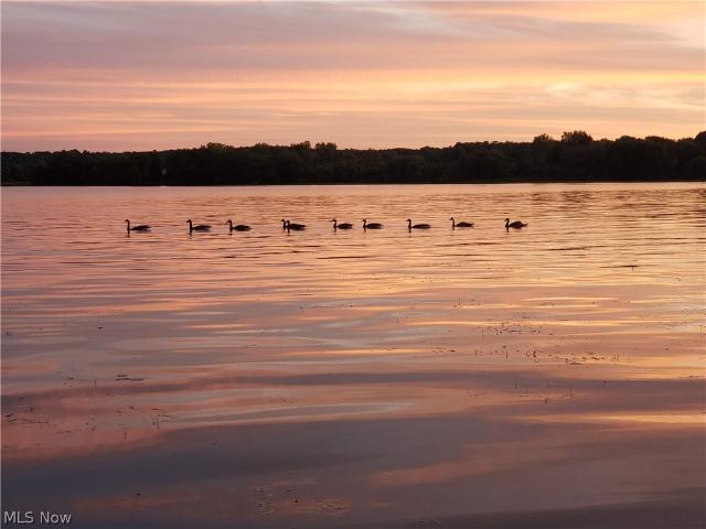 House for sale in Chippewa Lake, Ohio