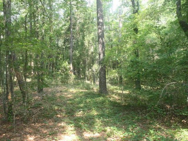 Land for sale in Cochran, Georgia
