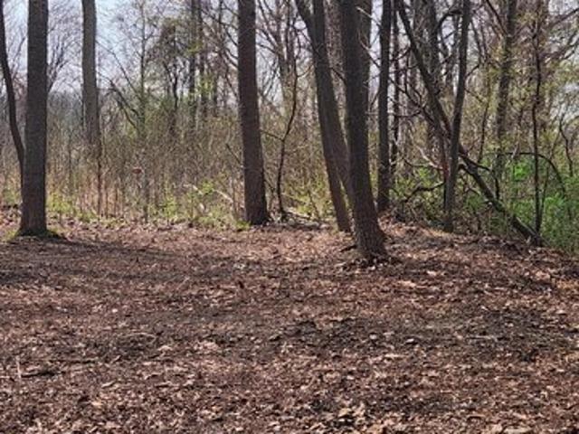Land for sale in New Buffalo, Michigan
