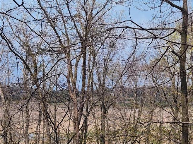 Land for sale in Union Pier, Michigan