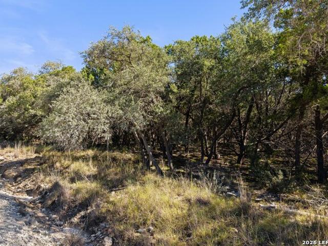 Farm for sale in Blanco, Blanco County