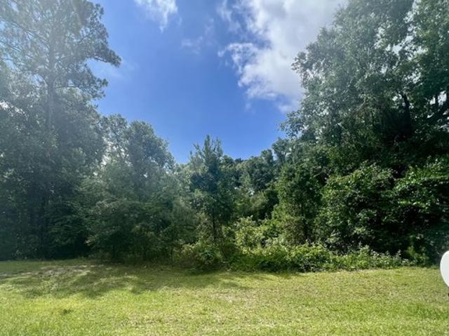 Land for sale in Green Cove Springs, Florida